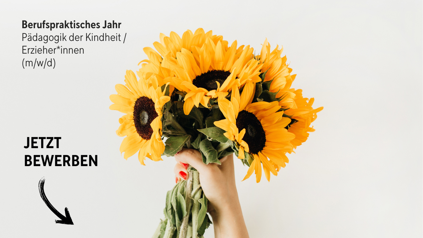 Banner 1366x768 (Website)