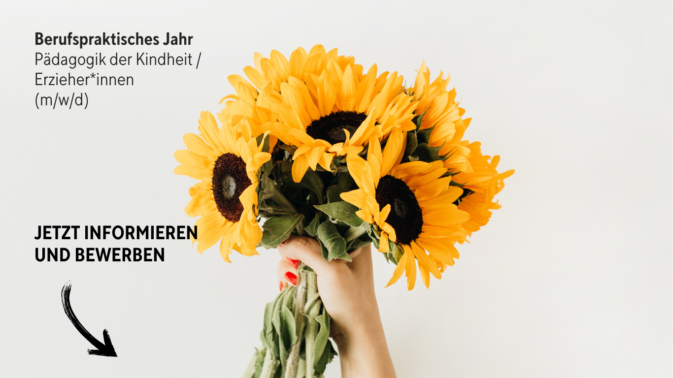 Banner mit Sonnenblume "Jetzt informieren und bewerben"